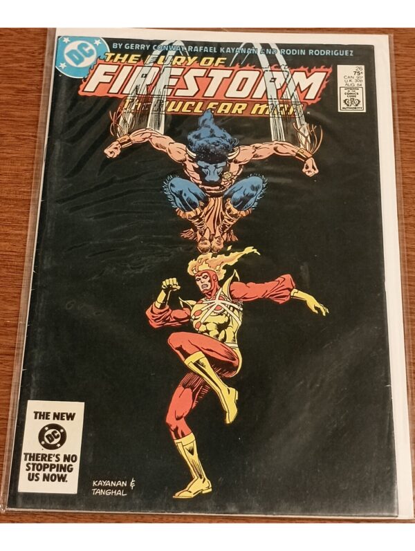 Unleash the Heat in The Fury of Firestorm #26